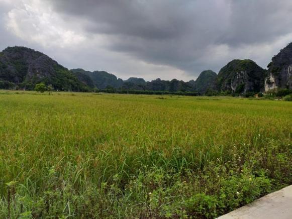 Tam Coc Riverside Homestay Ninh Binh Exterior photo